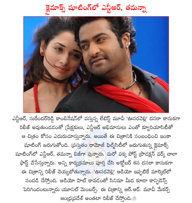 ntr latest movie oosaravelli,oosaravelli shooting in climax,oosaravelli releasing on 6th october,oosaravelli audio,oosaravelli music director devisriprasad,oosaravelli director surender reddy,oosaravelli heroine tamanna,oosaravelli stills  ntr latest movie oosaravelli, oosaravelli shooting in climax, oosaravelli releasing on 6th october, oosaravelli audio, oosaravelli music director devisriprasad, oosaravelli director surender reddy, oosaravelli heroine tamanna, oosaravelli stills